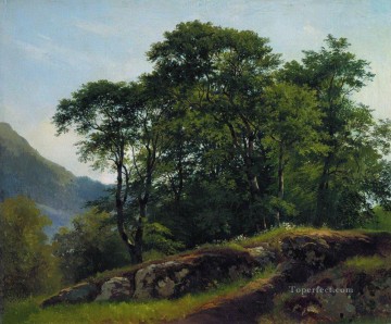 Bosque de hayas en Suiza 1863 paisaje clásico Ivan Ivanovich Pinturas al óleo